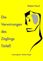 Robert Musil - Die Verwirrungen des Zöglings Törleß