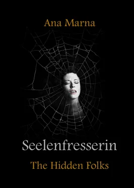 Ana Marna Seelenfresserin обложка книги