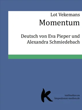 Lot Vekemans Momentum обложка книги