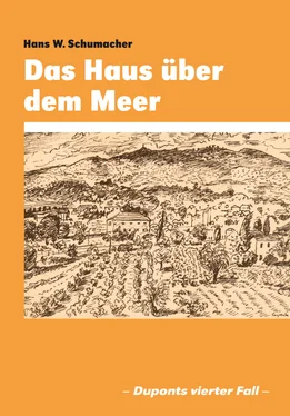 Hans W. Schumacher Das Haus über dem Meer обложка книги