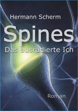 Hermann Scherm Spines обложка книги