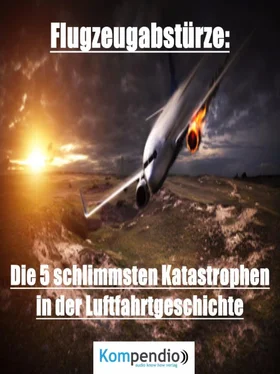 Alessandro Dallmann Flugzeugabstürze обложка книги