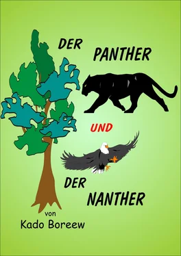 Kado Boreew Der Panther und der Nanther обложка книги