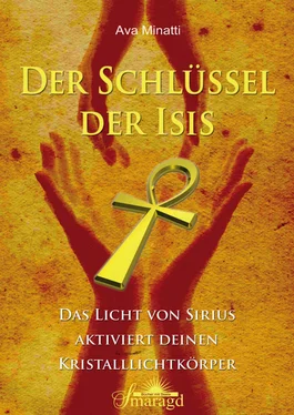 Ava Minatti Der Schlüssel der Isis обложка книги