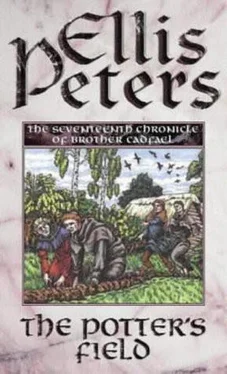 Ellis Peters The Potter's Field обложка книги