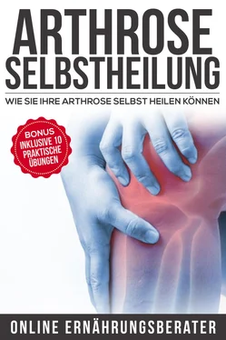 Online Ernährungsberater Arthrose Selbstheilung обложка книги
