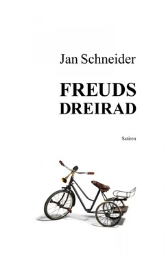 Jan Schneider Freuds Dreirad обложка книги