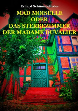 Erhard Schümmelfeder MAD MOISELLE обложка книги