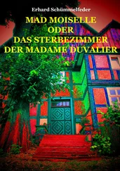 Erhard Schümmelfeder - MAD MOISELLE