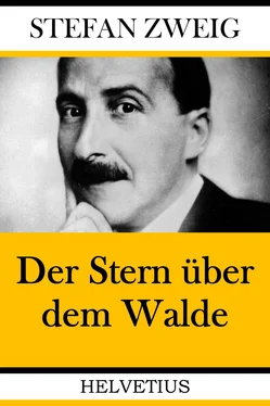 Stefan Zweig Der Stern über dem Walde обложка книги