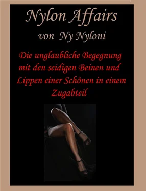 Ny Nyloni Die unglaubliche Begegnung mit den seidigen Beinen und Lippen einer Schönen in einem Zugabteil обложка книги