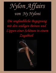 Ny Nyloni - Die unglaubliche Begegnung mit den seidigen Beinen und Lippen einer Schönen in einem Zugabteil