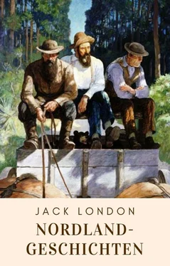 Jack London Nordlandgeschichten обложка книги