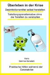 Mario Demmer-Benedetti - Überleben in der Krise