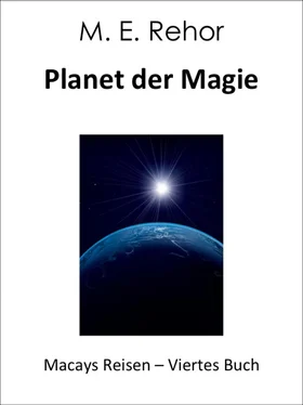 Manfred Rehor Planet der Magie обложка книги