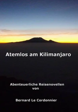 Bernd Schuster Atemlos am Kilimanjaro обложка книги
