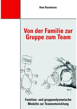 Dr. Hans Rosenkranz Von der Familie zur Gruppe zum Team обложка книги