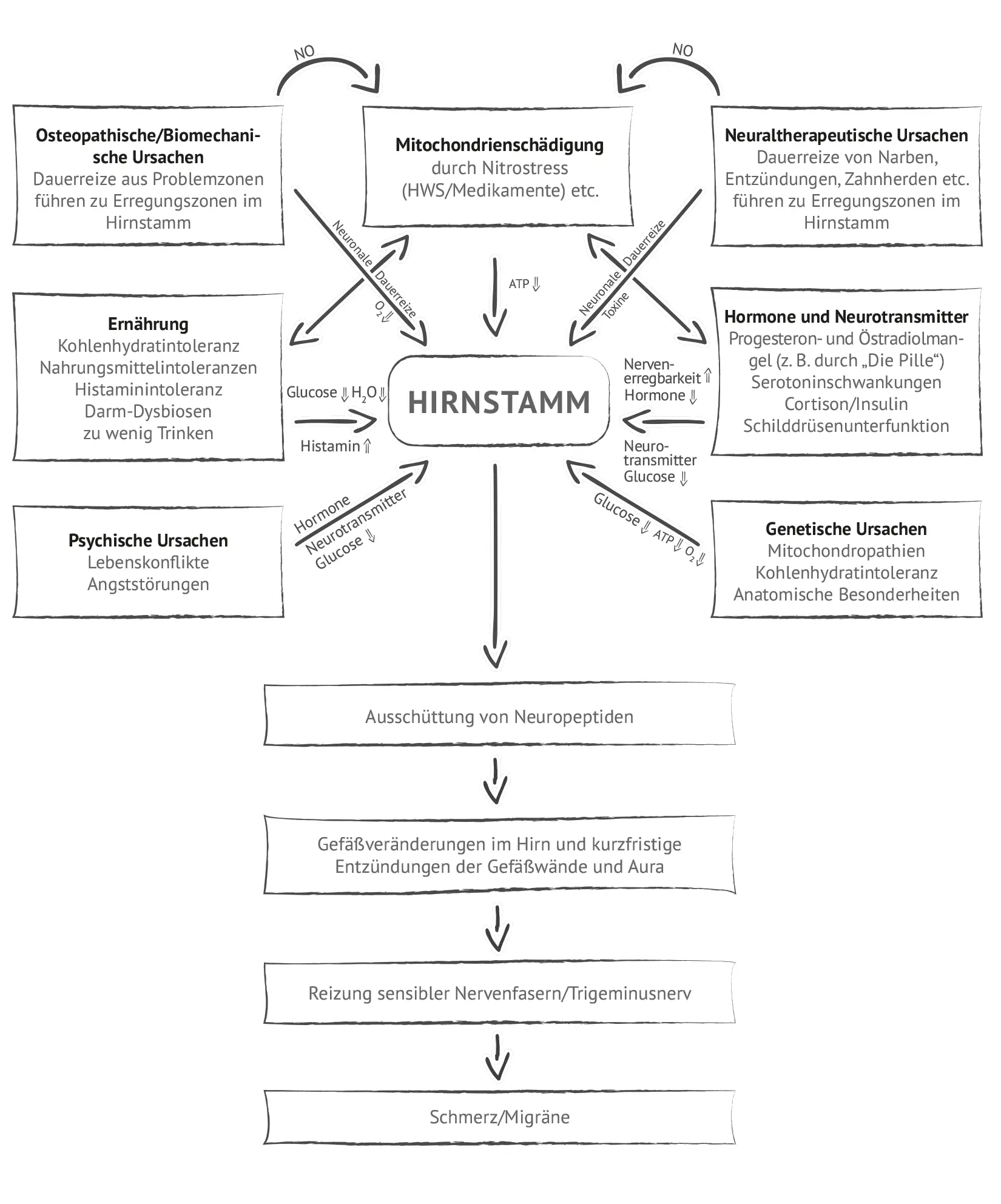 Abbildung MigräneursachenSchema Wie ich zur Migränetherapie kam Nach meiner - фото 6