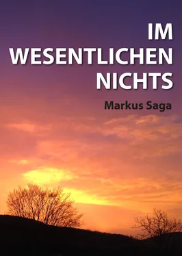 Markus Saga Im Wesentlichen Nichts обложка книги