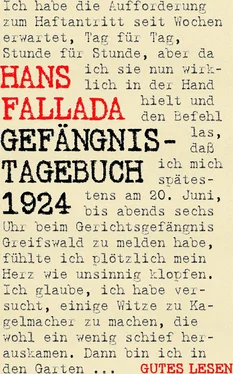 Hans Fallada Gefängnistagebuch 1924 обложка книги