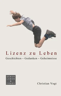 Christian Vogt Lizenz zu Leben обложка книги