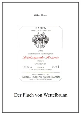 Volker Hesse Der Fluch von Wettelbrunn обложка книги