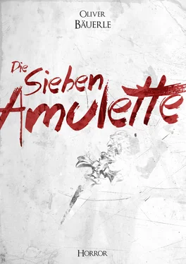 Oliver Bäuerle Die sieben Amulette обложка книги