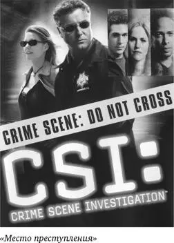 В более утонченных полицейскихдетективных сериалах демонстрируемых как на - фото 5