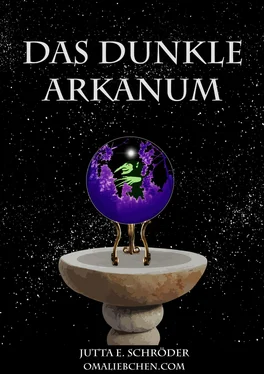 Jutta E. Schröder Das dunkle Arkanum обложка книги