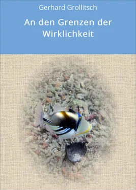 Gerhard Grollitsch An den Grenzen der Wirklichkeit обложка книги