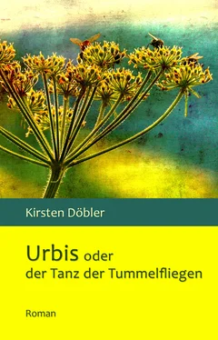 Kirsten Döbler Urbis oder der Tanz der Tummelfliegen обложка книги