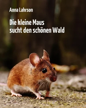 Anna Lahrson Die kleine Maus sucht den schönen Wald обложка книги