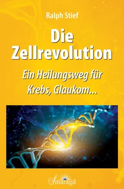 Ralph Stief Die Zellrevolution обложка книги