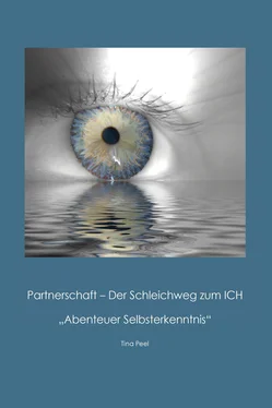 Tina Peel Partnerschaft - Der Schleichweg zum ICH обложка книги