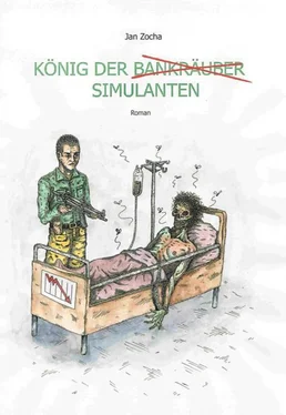 Jan Zocha König der Simulanten обложка книги