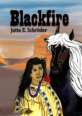 Jutta E. Schröder Blackfire обложка книги