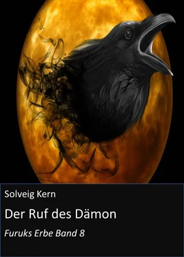 Solveig Kern Der Ruf des Dämon обложка книги