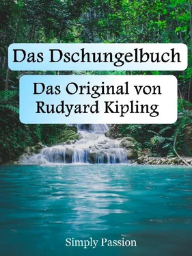 Simply Passion Dschungelbuch обложка книги