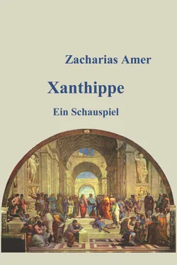 Zacharias Amer Xanthippe обложка книги