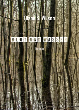 Diane S. Wilson Blut und Wasser обложка книги