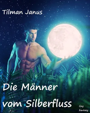 Tilman Janus Die Männer vom Silberfluss обложка книги