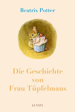 Beatrix Potter Die Geschichte von Frau Tüpfelmaus обложка книги