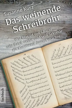 Dr. Susanne Kurz Das weinende Schreibrohr обложка книги