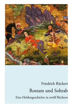 Friedrich Ruckert Rostam und Sohrab обложка книги