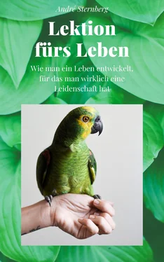 André Sternberg Lektion fürs Leben обложка книги