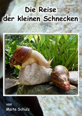 Maite Schulz Die Reise der kleinen Schnecken обложка книги