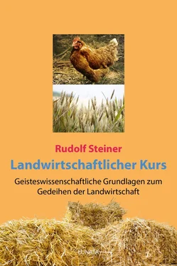 Rudolf Steiner Landwirtschaftlicher Kurs обложка книги