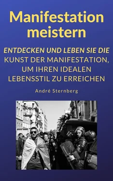 André Sternberg Manifestation meistern обложка книги