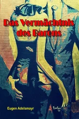 Eugen Adelsmayr - Das Vermächtnis des Barons