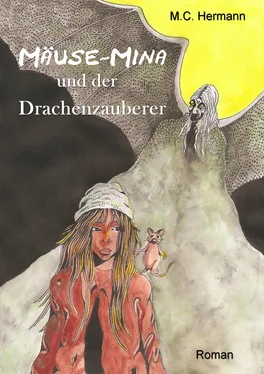 M.C. Hermann Mäuse-Mina und der Drachenzauberer обложка книги